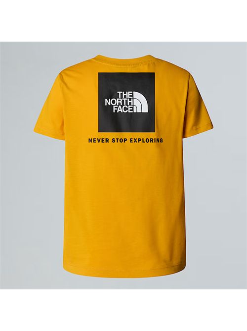  THE NORTH FACE | NF0A8EFN/56P1